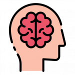 ginseng for the brain