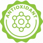 ginseng antioxidant