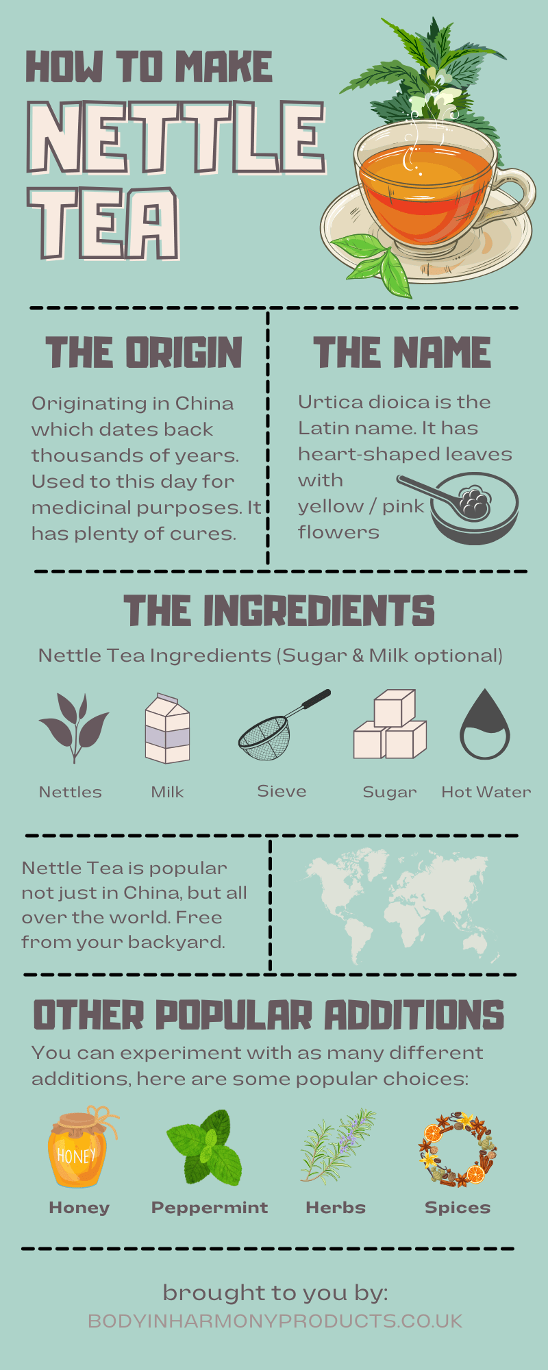how to make stinging nettle tea infographic