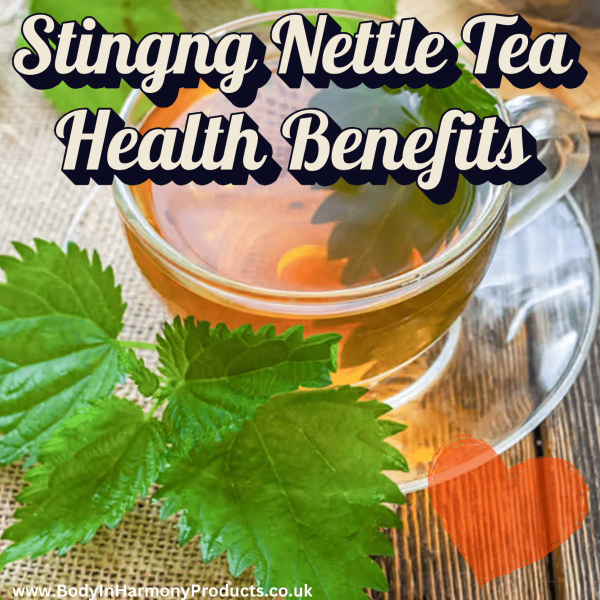 Stinging Nettle Tea Health Benefits
