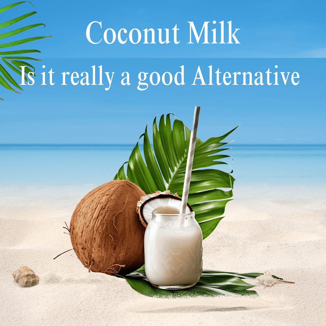 Coconut milk alternative