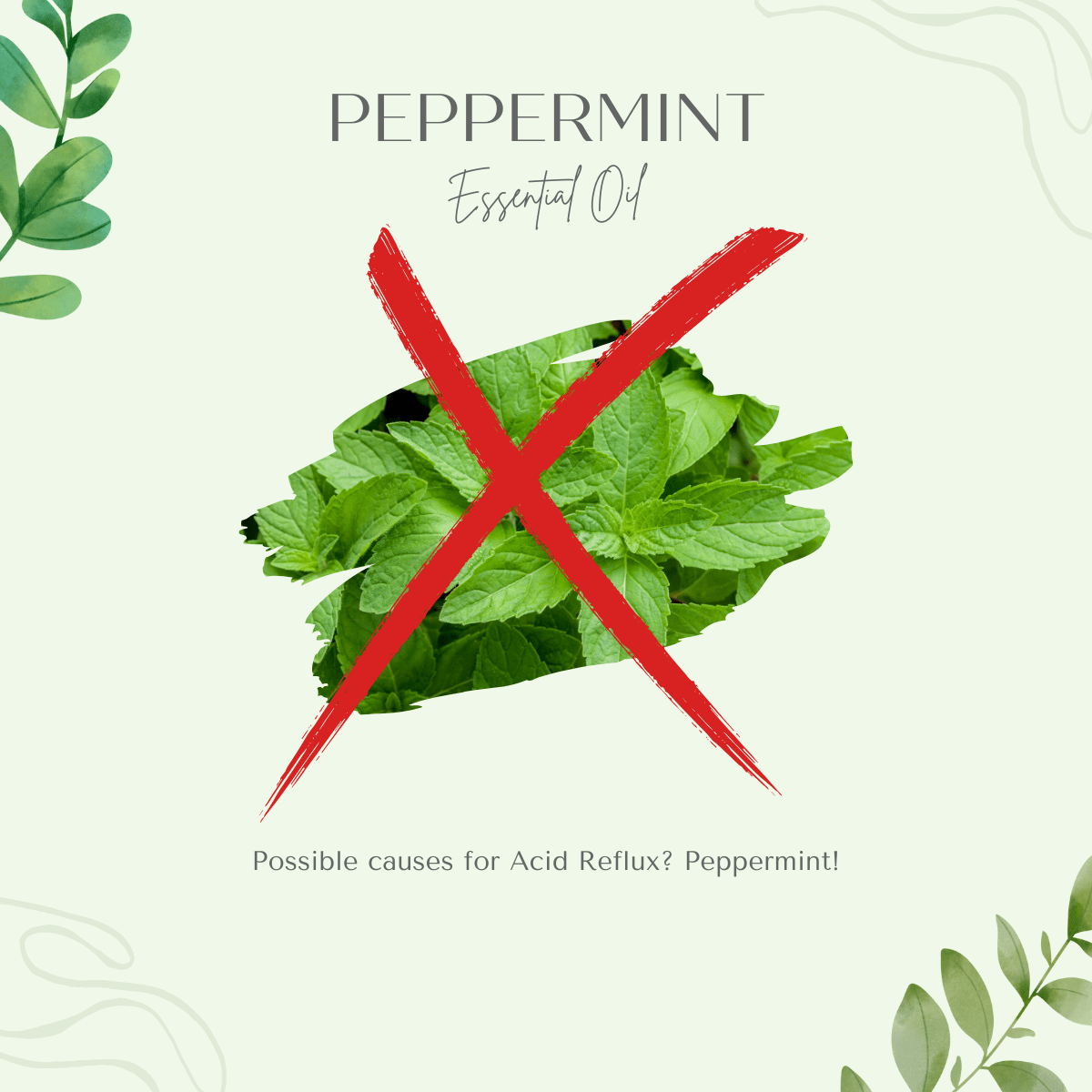 peppermint image for reflux