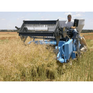harvesting canola oill for seed oil extraction processing