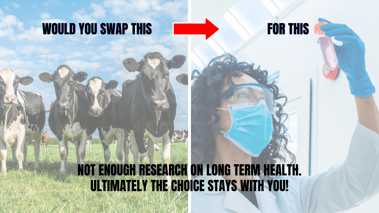 Lab-grown meat: ethical breakthrough or risky innovation?
