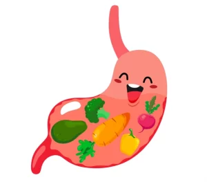 alkaline foods improve digestion