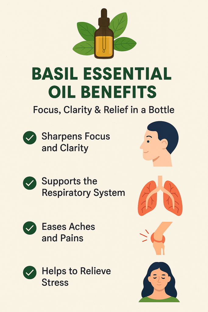 Discover the powerful benefits of basil essential oil — from sharper focus to clearer breathing and stress relief. A natural remedy powerhouse