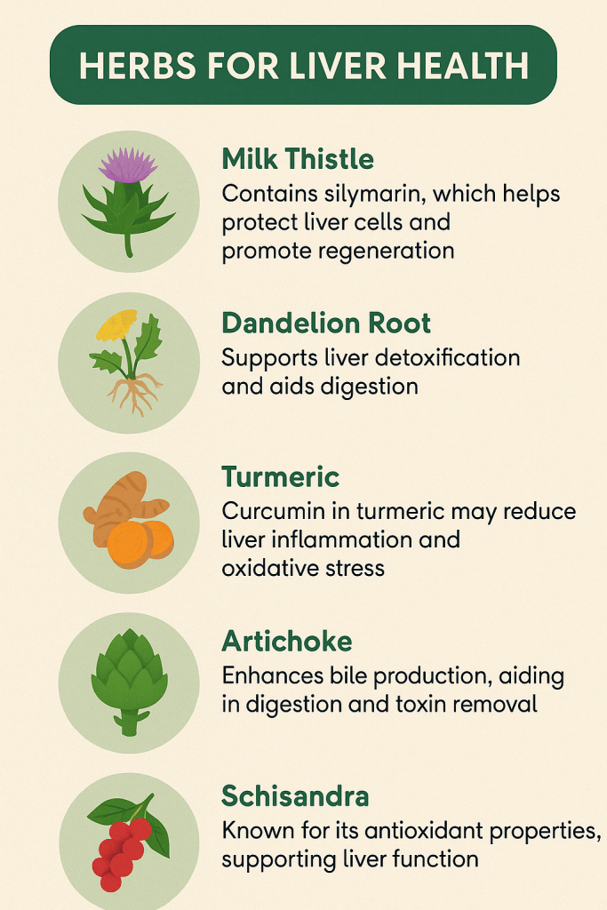 Explore the best herbs for liver repair and how they may support your body’s natural detox and healing processes. Gentle, holistic wellness.