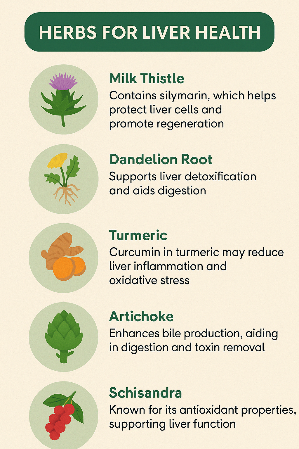 Best Herbs for Liver Repair | Natural Liver Support