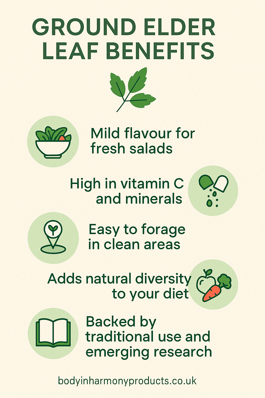 Ground Elder Leaf: A Fresh Wild Edible for Salads