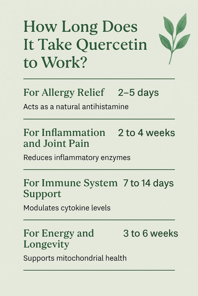 Wondering how long quercetin takes to work? Find out what to expect—from allergy relief to immune support—and how to get faster results naturally.