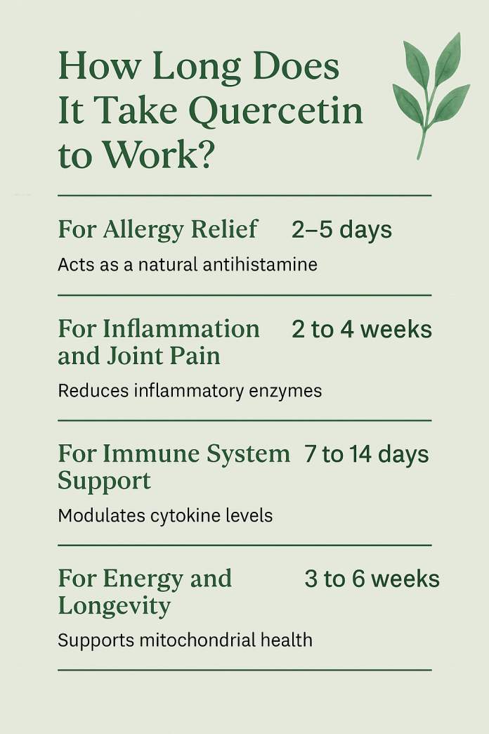 How Long Does It Take Quercetin to Work? Results Explained - Body in