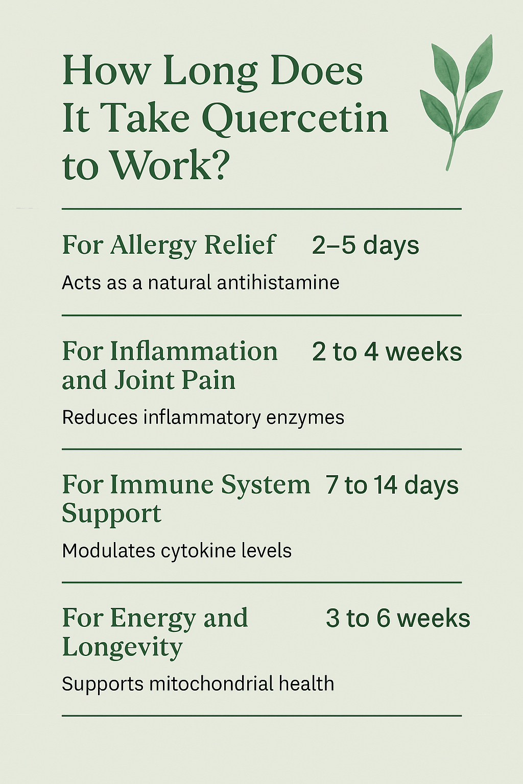 How Long Does It Take Quercetin to Work? Results Explained