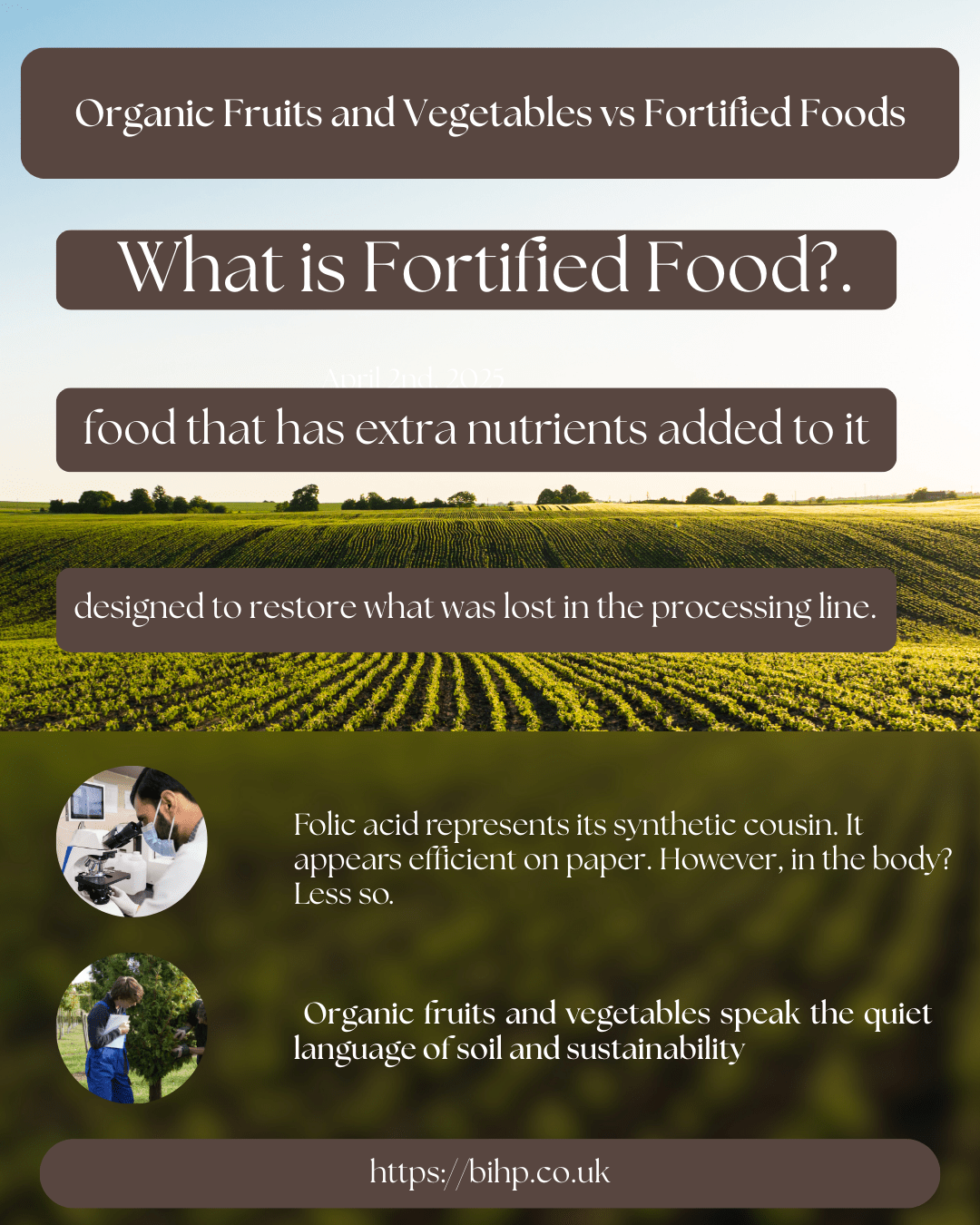 Organic Fruits and Vegetables vs Fortified Foods
