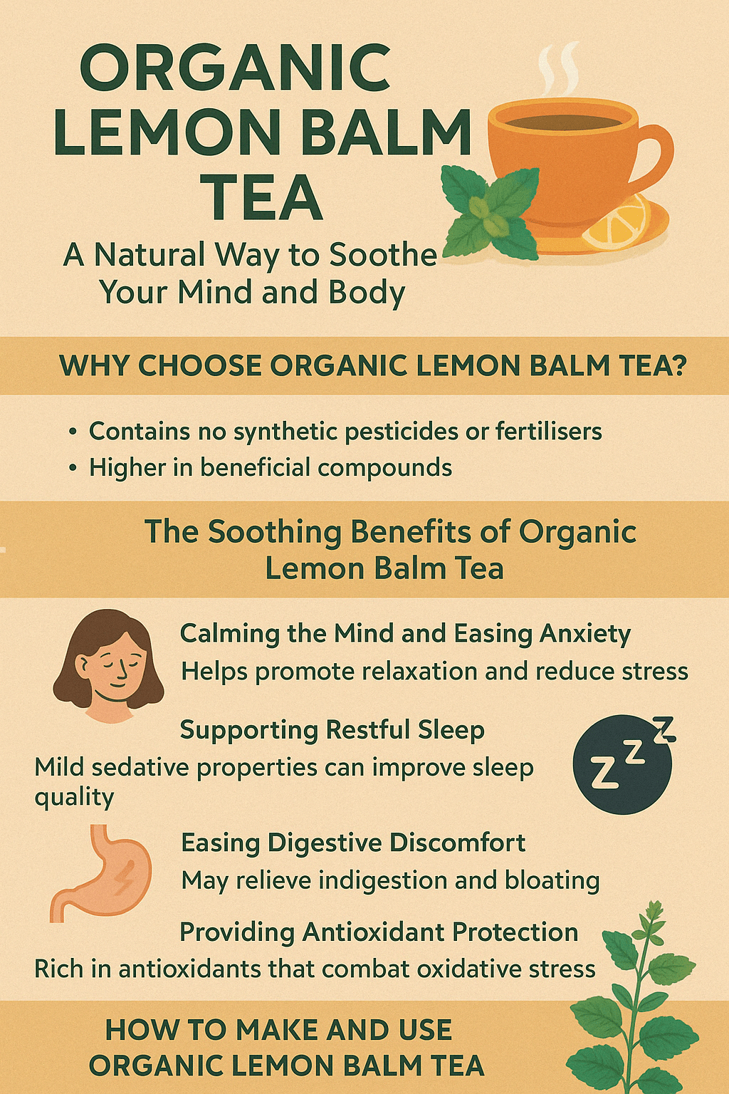 Organic Lemon Balm Tea for Stress Relief | Body in Harmony