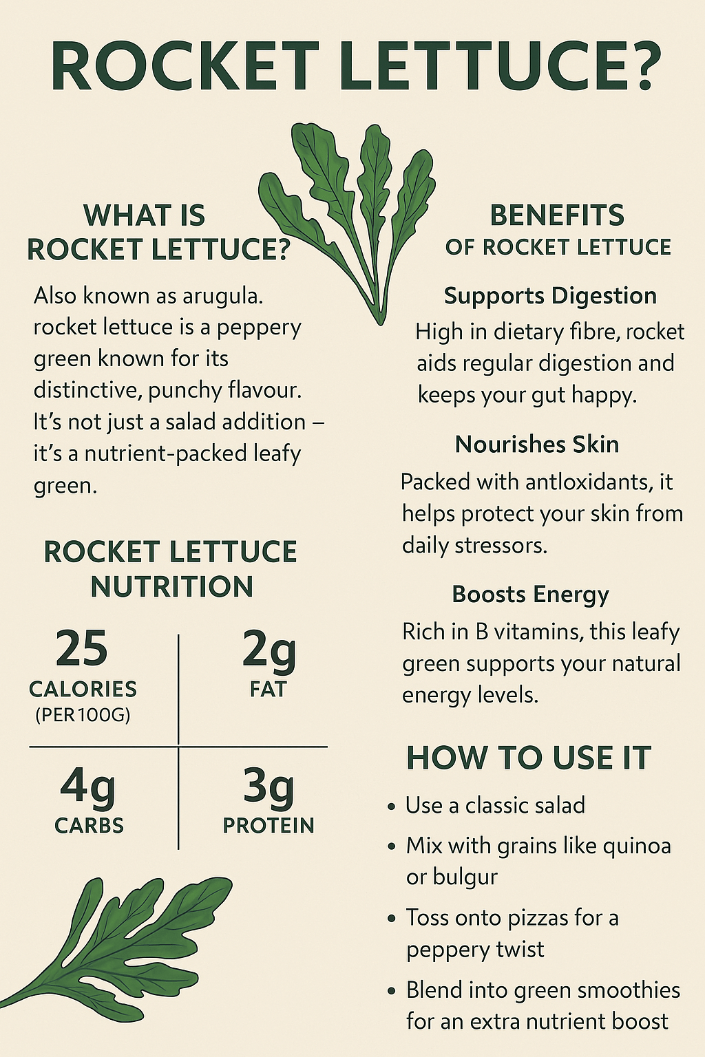 Rocket Lettuce Benefits, Nutrition & How to Use It