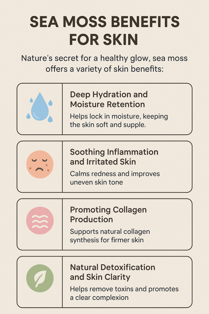 Discover the top sea moss benefits for skin. Hydrate, soothe inflammation, boost collagen, and achieve a healthy glow naturally with this amazing sea superfood.