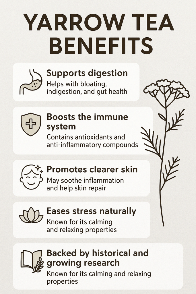 Discover the top yarrow tea benefits, from digestive support to skin health. Learn how this ancient herb can boost your daily wellness ritual