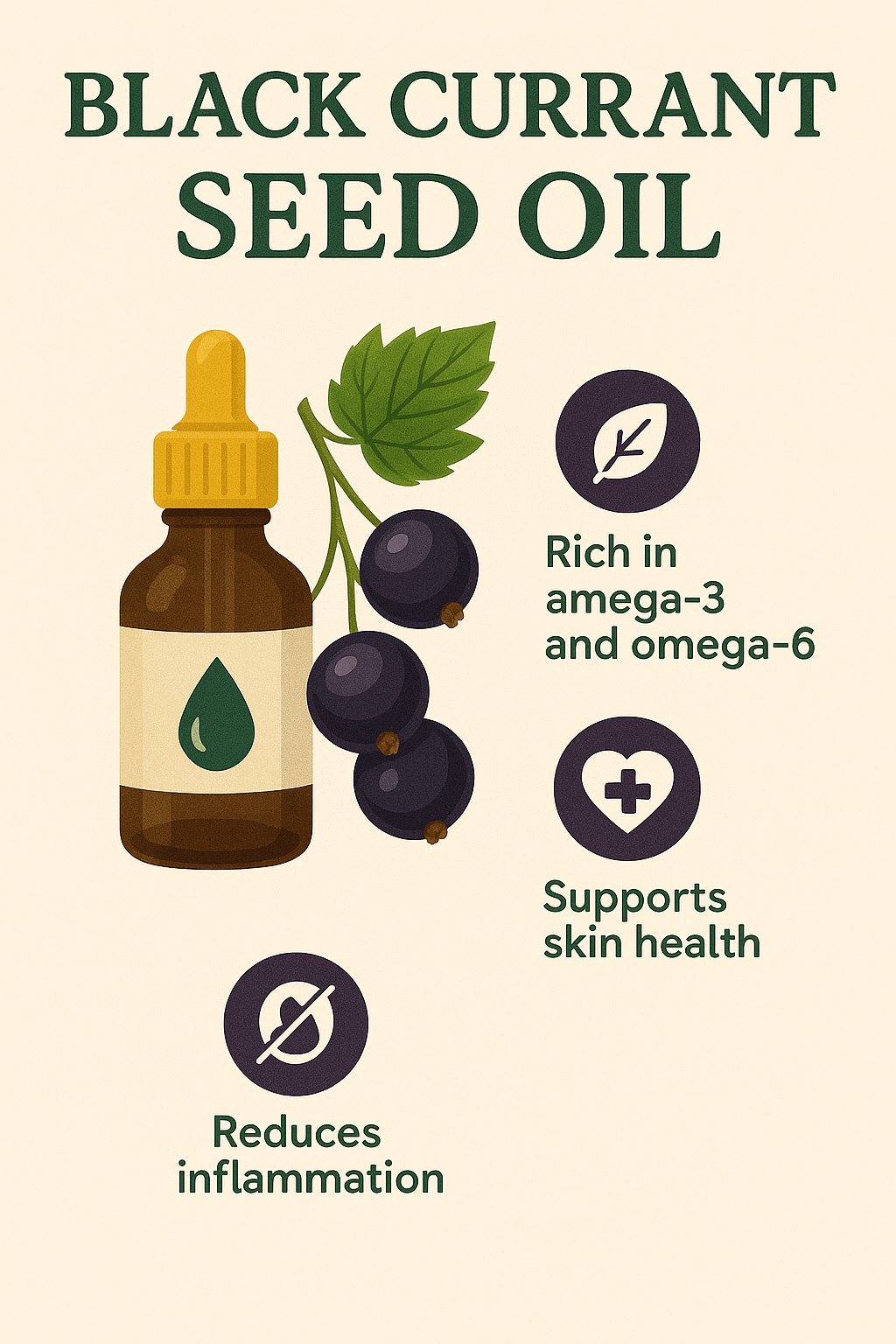 black currant seed oil-benefits
