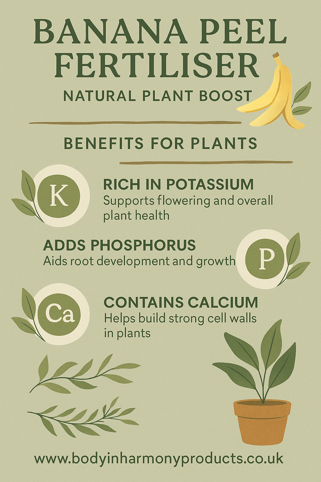 Banana Peel Fertiliser: Natural Plant Boost Without Chemicals