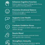 Brahmi Benefits: Natural Support for Memory, Calm & Brain Health