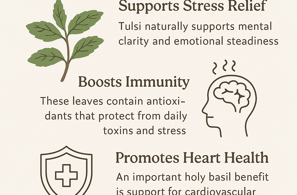 Holy Basil Benefits for Stress, Immunity & Heart Health