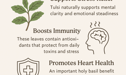 Holy Basil Benefits for Stress, Immunity & Heart Health