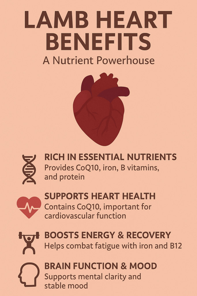 Discover why lamb heart is packed with CoQ10, iron, and B vitamins. Support your heart, energy, and muscle recovery the natural way. Read more