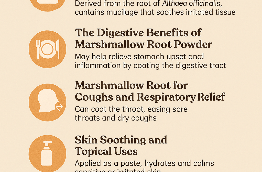 Marshmallow Root Powder Benefits for Gut, Skin & Throat