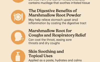 Marshmallow Root Powder Benefits for Gut, Skin & Throat