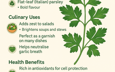 Parsley Leaves: Health Benefits, Nutrition & Everyday Uses