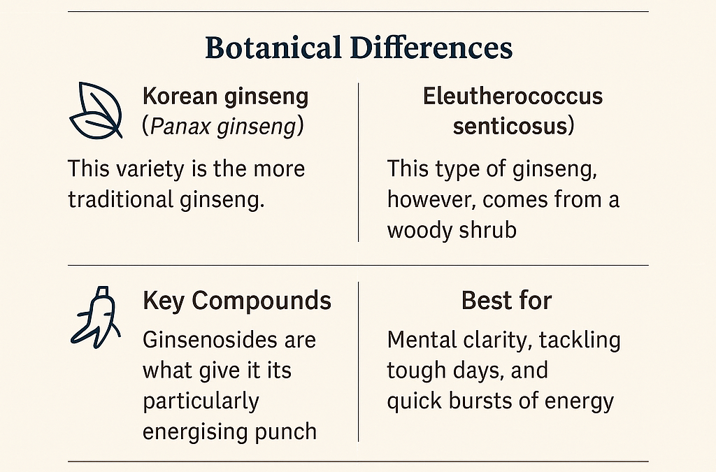Siberian Ginseng vs Korean Ginseng: Key Differences & Benefits
