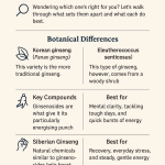 Siberian Ginseng vs Korean Ginseng: Key Differences & Benefits