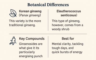 Siberian Ginseng vs Korean Ginseng: Key Differences & Benefits