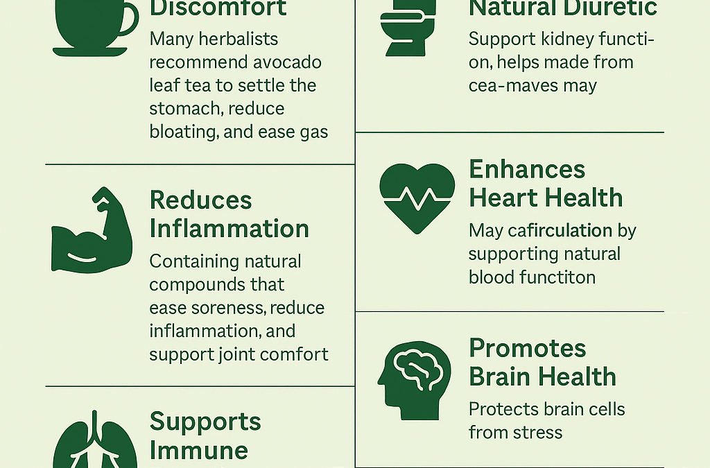 Top Avocado Leaves Benefits for Natural Wellness