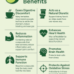 Top Avocado Leaves Benefits for Natural Wellness