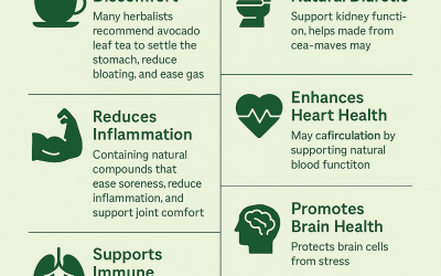 Top Avocado Leaves Benefits for Natural Wellness