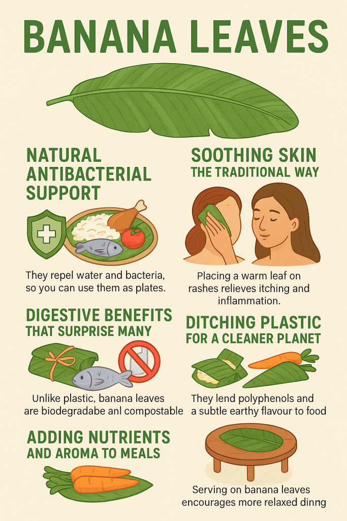 Discover the benefits of banana leaves. Cooking, healing, & natural living. Explore their nutrients, traditional uses, & eco-friendly appeal