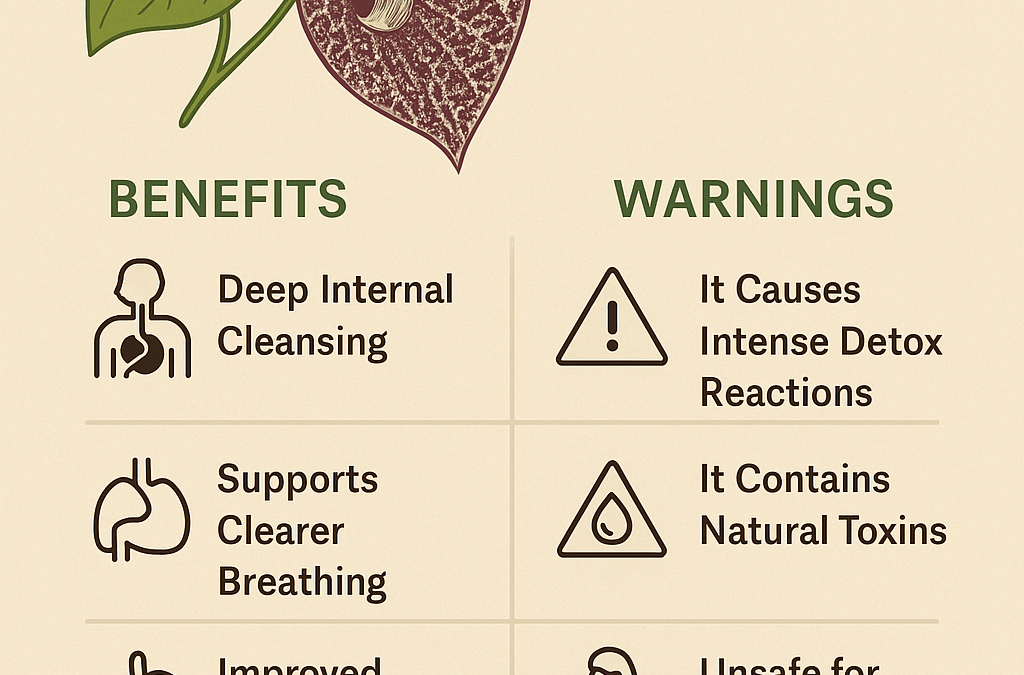 Duck Flower Benefits and Warnings: What You Need to Know