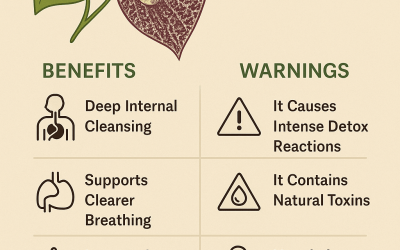 Duck Flower Benefits and Warnings: What You Need to Know