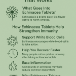 Echinacea Tablets: Natural Immune Support That Works