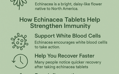 Echinacea Tablets: Natural Immune Support That Works