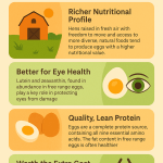 Free Range Eggs: Nutrition, Eye Health & Ethical Benefits