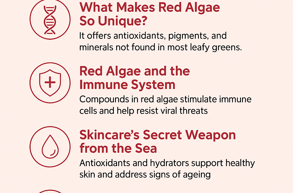 Red Algae Natural Nutrition benefits, Skincare & Immune Support