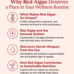 Red Algae Natural Nutrition benefits, Skincare & Immune Support