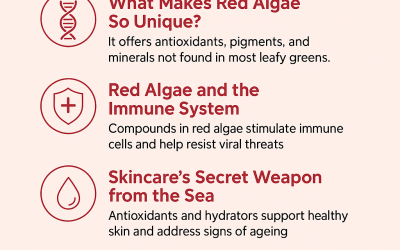 Red Algae Natural Nutrition benefits, Skincare & Immune Support