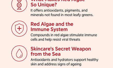 Red Algae Natural Nutrition benefits, Skincare & Immune Support