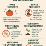 Top Benefits of Eating Organic Food for Your Health