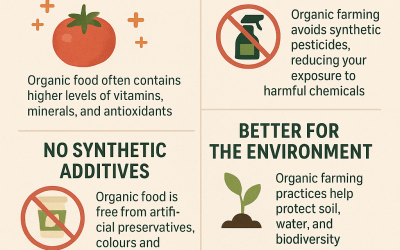 Top Benefits of Eating Organic Food for Your Health