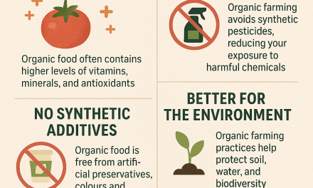 Top Benefits of Eating Organic Food for Your Health