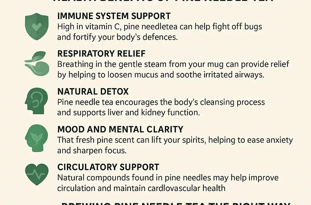 Pine Needle Tea: Ancient Brew with Modern Benefits